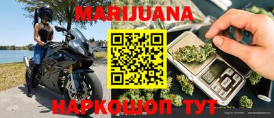 трава Бийск