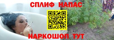 трава Бийск