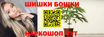 шишки Изобильный