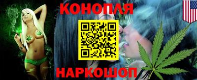 шишки Изобильный