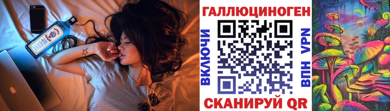 MEGA tor  Саров  Псилоцибиновые грибы мицелий 