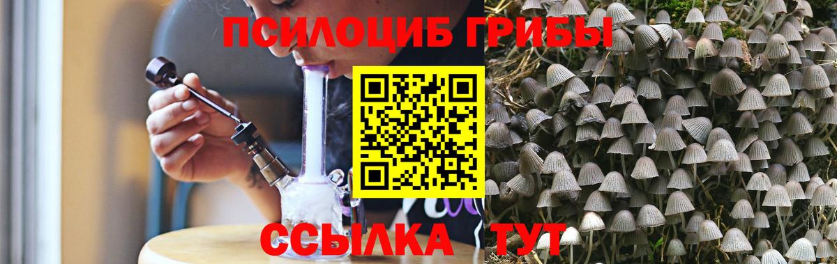 купить   Вход с VPN  Саров  Галлюциногенные грибы мухоморы 